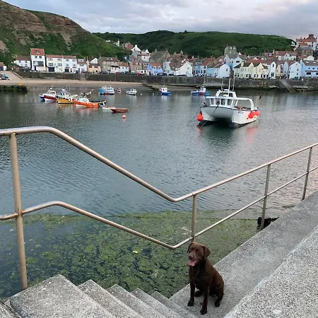 Σπίτι διακοπών Confidence Heart Of Staithes